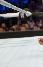 WWE - The Best of Brie Bella
