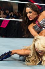 WWE - The Best of Brie Bella