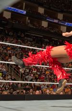 WWE - The Best of Brie Bella