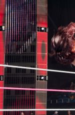 WWE - The Best of Brie Bella