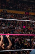 WWE - The Best of Brie Bella
