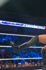 WWE - The Best of Brie Bella
