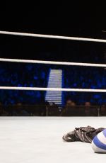 WWE - The Best of Brie Bella