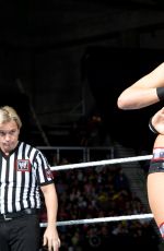 WWE - The Best of Brie Bella