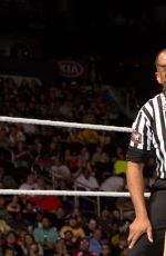 WWE - The Best of Brie Bella