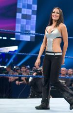 WWE - The Best of Brie Bella