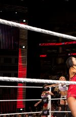 WWE - The Best of Brie Bella