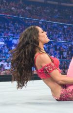 WWE - The Best of Brie Bella