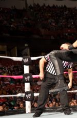 WWE - The Best of Brie Bella