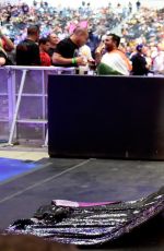 WWE - Wrestlemania 32 Amazing Entrances