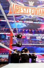 WWE - Wrestlemania 32 Digitals