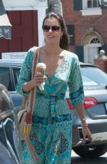 ALESSANDRA AMBRPOSIO Out and About in Los Angeles 05/27/2016