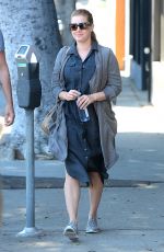 AMY ADAMS Out and About in Los Angeles 05/02/2016