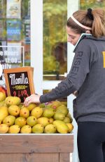 ASHLEY GREENE Shopping at Bristol Farms in West Hollywood 05/11/2016
