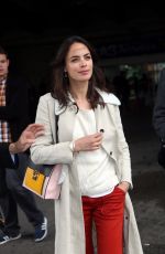 BERENICE BEJO at Nice Airport 05/11/2016