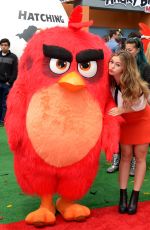 BREC BASSINGER at 