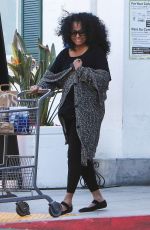 DIANA ROSS Shopping at Bristol Farms in Beverly Hills 05/23/2016