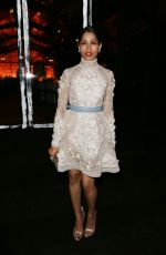 FREIDA PINTO at Women in Motion Gala in Cannes 05/15/2016