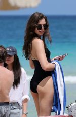 HAILEE STEINFELD in Swimsuit at a Beach in Miami 05/22/2016