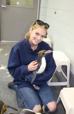 KATE UPTON at Detroit Zoo 05/19/2016
