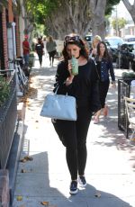 KATHERINE SCHWAZENEGGER Out and About in Melrose 05/23/2016