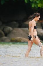KRISTEN WIIG and Avi Rothman at a Beach in Kauai, 05/05/2016
