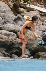 KRISTEN WIIG and Avi Rothman at a Beach in Kauai, 05/05/2016