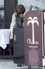 LISA RINNA Leaves Palm Restaurant in Beverly Hills 05/06/2016