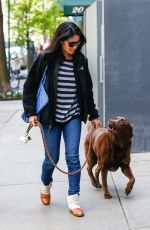 LUCY LIU Walks Her Dog Out in New York 04/30/2016