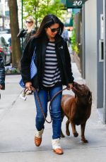 LUCY LIU Walks Her Dog Out in New York 04/30/2016