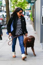 LUCY LIU Walks Her Dog Out in New York 04/30/2016