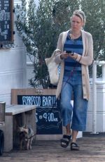NAOMI WATTS Walks Her Dog at Malibu Pier 05/01/2016