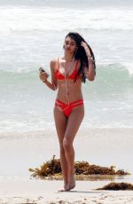 NEELAM GILL in Bikini at a Beach in Venice 05/15/2016