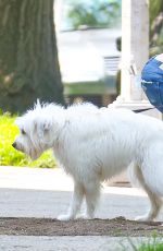 OLIVIA WILDE Walks Her Dog Out in New York 05/23/2016