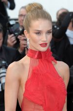 ROSIE HUNTINGTON-WHITELEY at ‘The Unknown Girl’ Premiere at 69th Annual Cannes Film Festival 05/18/2016