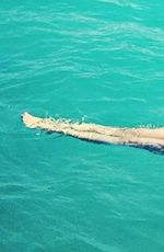 VICTORIA JUSTICE in Bikini in Florida 05/05/2016