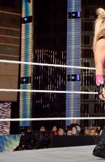WWE - PayBack Digitals 2016