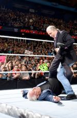 WWE - PayBack Digitals 2016