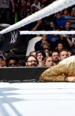 WWE - PayBack Digitals 2016