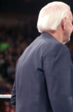 WWE - Raw Digitals 05/23/2016
