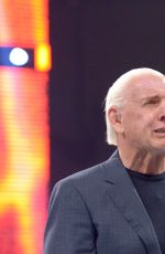 WWE - Raw Digitals 05/23/2016
