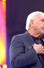 WWE - Raw Digitals 05/23/2016