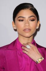 ZENDAYA COLEMAN at Humane Society of the United States to the Rescue Gala in Hollywood 05/07/2016