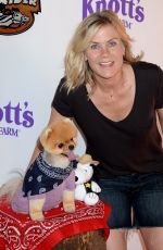 ALISON SWEENEY at Ghost Rider Rides Again Event at Knotts Berry Farm in Buena Park 06/04/2016