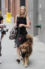 AMANDA SEYFRIED and Finn Out in New York 06/28/2016