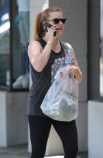 AMY ADAMS Out and About in Los Angeles 06/23/2016