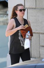 AMY ADAMS Out and About in Los Angeles 06/23/2016