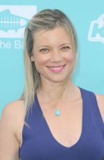 AMY SMART at Heal the Bay’s Annual Bring Back the Beach Gala in Santa Monica 06/09/2016