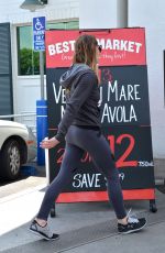 ASHLEY GREENE Out Shopping in Los Angeles 06/15/2016