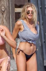 CHARLOTTE MCKINNEY in Bikini at a Beach in Malibu 06/18/2016